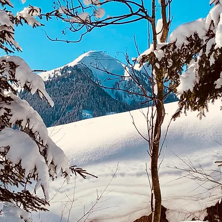 Living * Saalbach-Hinterglemm