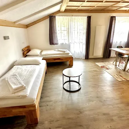 Apartment Living Saalbach-Hinterglemm
